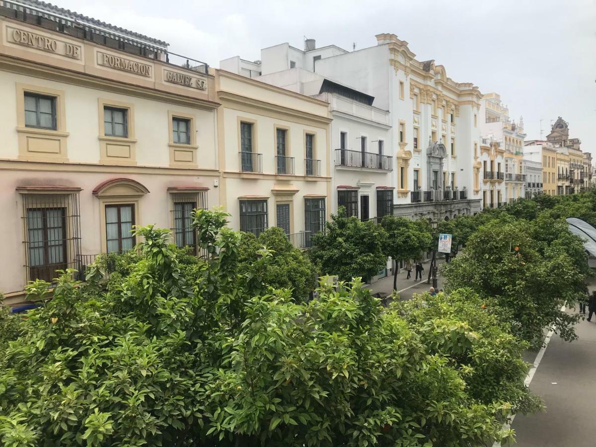 Apartamento Centro Jerez Apartment Jerez de la Frontera Exterior photo